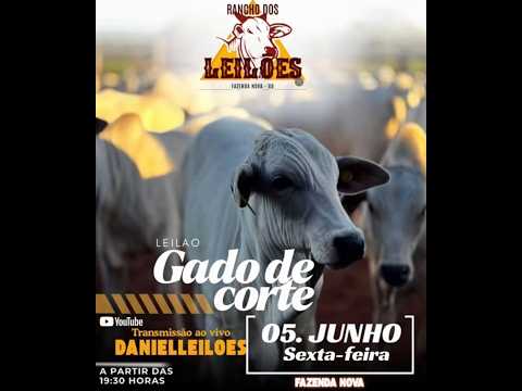 Fazenda Nova -  GO   05/06/2026
