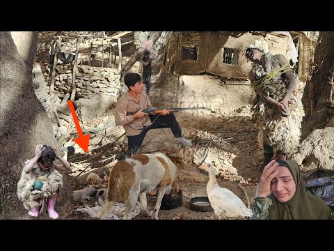 ¡Cavernícola arrestado de nuevo! Los perros regresan a la cabaña de Hussein.