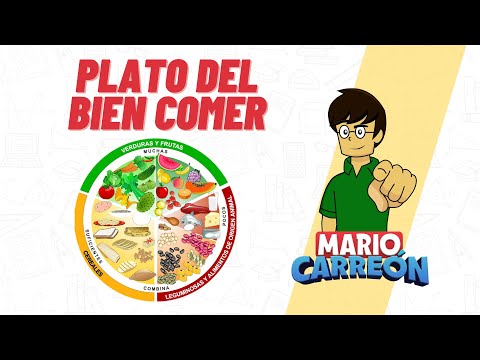 🍏 El Plato del Bien Comer 🍊