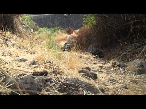 toyota fj 46.vadescalas tenerife 4x4