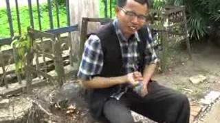 Download lagu Aam Danau - Ingkar Janji mp3 Download lagu Aam Danau - Ingkar Janji mp3