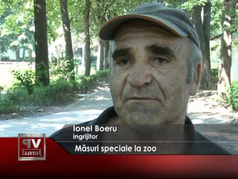 Măsuri speciale la zoo