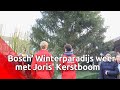 Joris' Kerstboom staat weer te pronken op het Bosch' Winterparadijs