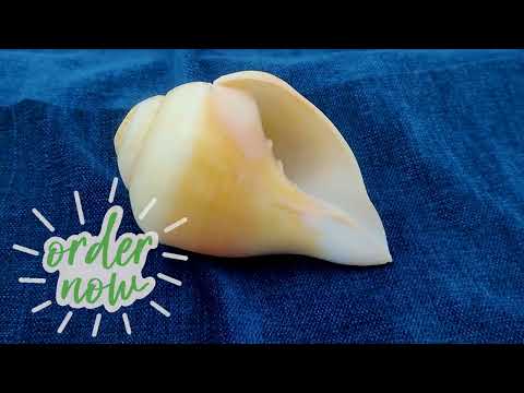 Laxmi Narayne Blowing Shankam For Prosperity Happiness, Peace, Fame video