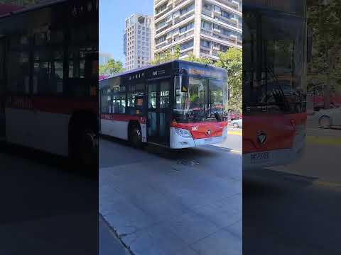 micro fotón C12 recorrido 106 de la empresa voy Santiago 14 #transantiago.