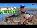 Video Thumbnail for Spring Walleye Fishing on Buffalo Pound River 2023 (Episode 1)