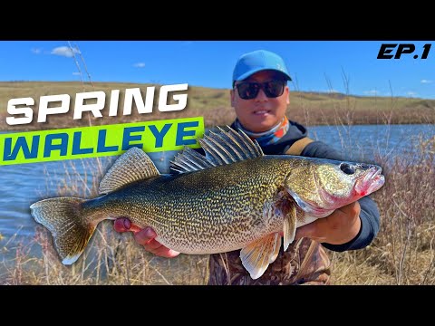 Spring Walleye Fishing on Buffalo Pound River 2023 (Episode 1)