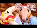 Clangers Bedtime For Tiny The Tiny And Small Show Kid S TV