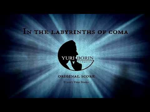 Yuri Borin - In the labyrinths of coma
