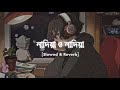Nadia O Nadia_নাদিয়া_ও_নাদিয়া_ - Slowed Reverb MH_Payel___Bangla_New_TikTok_Viral_Song