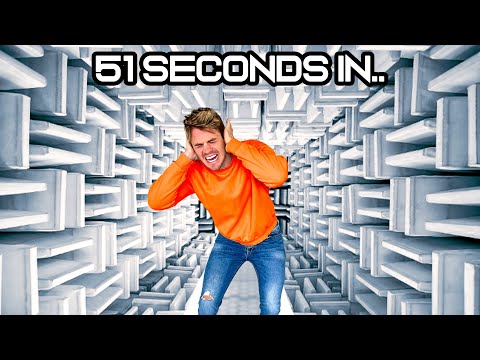 I Beat The World Record In The World's Loudest Room
