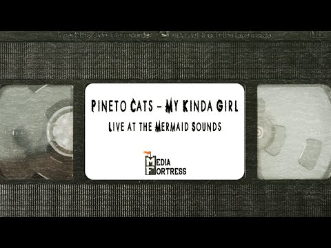 Pineto Cats [The VHS Tapes]