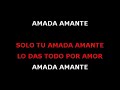 Roberto Carlos - Amada amante karaoke
