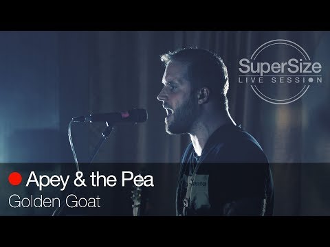 SuperSize LiveSession - Apey & the Pea - Golden Goat