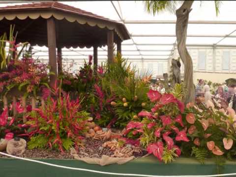 Chelsea Flower Show 2012