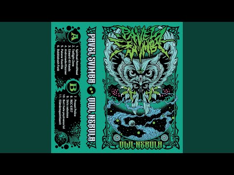 Elämäntapaintiaanit