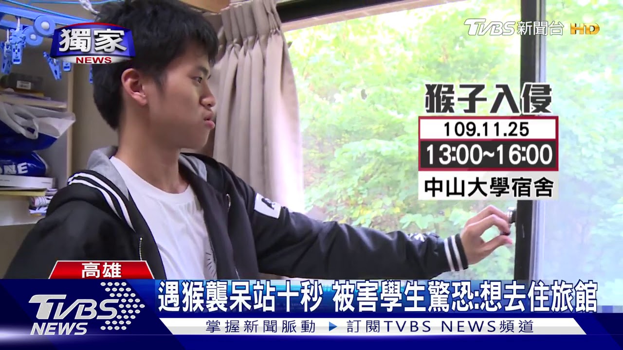 中山大學宿舍又遭猴襲 學生驚恐:很無言
