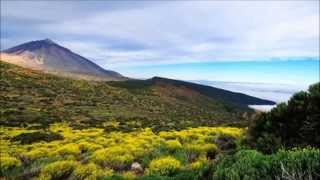 Martin Buntrock - Summerwind