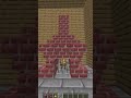 Classic Interior Design Minecraft Shorts Trending Viral