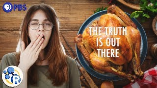 Thanksgiving Turkey Compilation