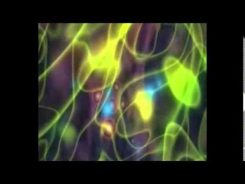 House/ Electro/ Deep/ Liberty  - ( Esse Records Original Mix ) by Mr.Esse 2014