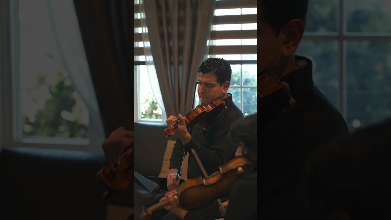 Promotional video thumbnail 1 for Latin String Quartet