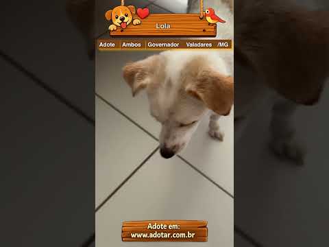 Vídeo de Lola 