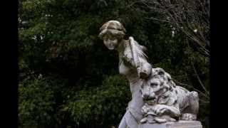 Le lion imberbe . Pierre Lapointe