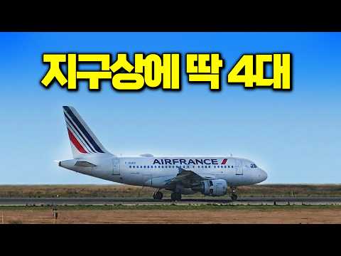 에어버스 A318: 세상에서 가장 짧은 비행기 체험기