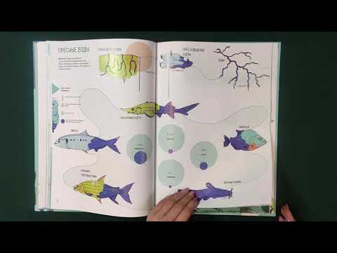 Миниатюра изображения товара Энциклопедия Пешком в историю Планета Земля. Мир вокруг нас в инфографике (Пиродди К.)