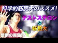 【筋トレ】禁断のお注射実験!? テストステロンと筋肥大について解説する動画【科学的筋肥大のススメ】
