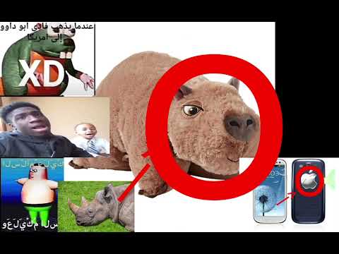 Real capybara vs Fake capybara