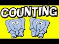 COUNT From 1 10 For Toddlers With White Board Animated Animals