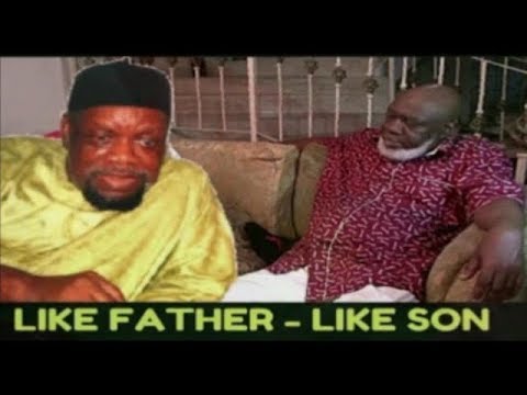 Bloodl Line: A Hero Like His Father - Debe Odumegwu Ojukwu