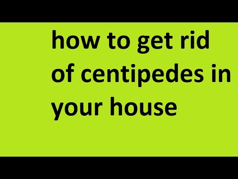 how to get rid of centipedes in your house