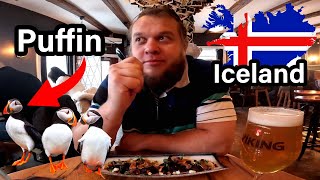 🇮🇸 EATING BIRDS IN REYKJAVIK, ICELAND
