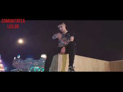 Poze cu abi regele României