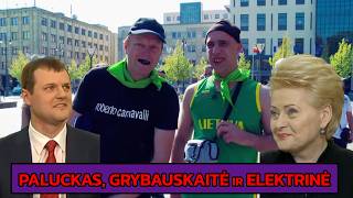 Sūrskis su Mauzeriu kalbina Palucką, Grybauskaitę ir sudalyvauja proteste | Karalius Reaguoja