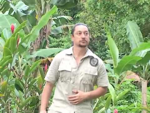 Richard Parker - Ua lelei sugae ua e sau (Official Music Video)