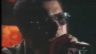 Nação Zumbi - O Homem da Gravata Florida