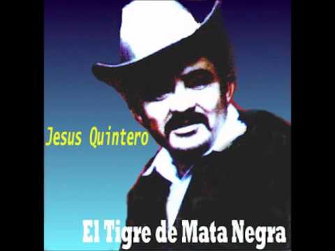Llanero Nato - Jesus Quintero (El Tigre de Matanegra)
