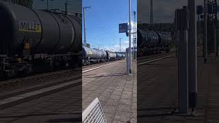 AVG Müllzug   GO Ahed   Vectron ECCO mit Container    Trax mit Kesselwagen Bruchsal Juli 24