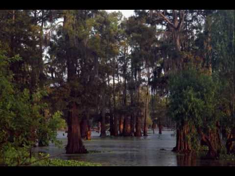 Modjo - Music Takes You Back