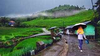 Download lagu Turun Hujan Dan Kabut di Pedesaan! Nambah Betah Dan Indah Suasana Kampung di Tengah Sawah mp3