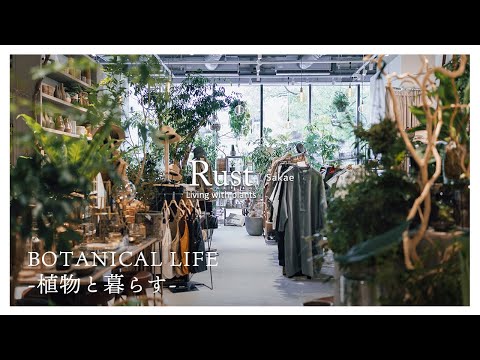 ウィッチニレ 植物