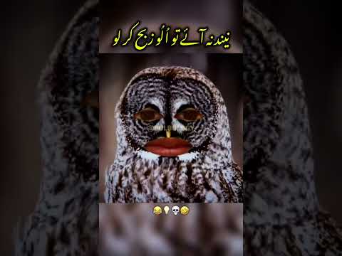 Neend Na Ai Tou Owl Zibah Kar Lo 💀 | Funny Ilyas qadri 😂💡|#shia #shorts #funny #bulb #ilyasqadri