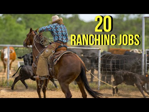 20 Jobs On A Ranch