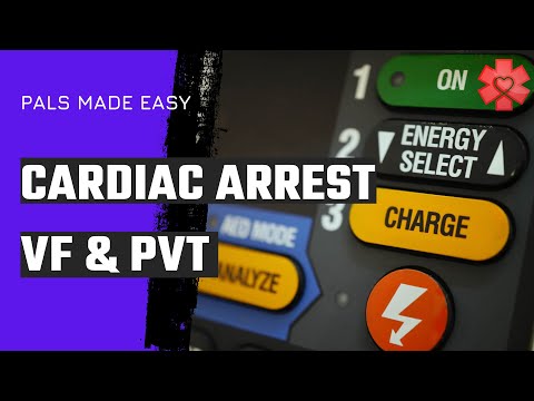 PALS Cardiac Arrest Algorithm 2020 (VF & pVT)