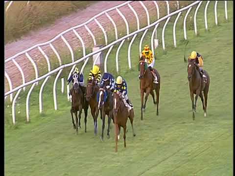 Galoppo 27/07/2018 - 5ª corsa