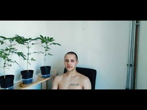 Sebek GANG PP # Hot16Challenge2